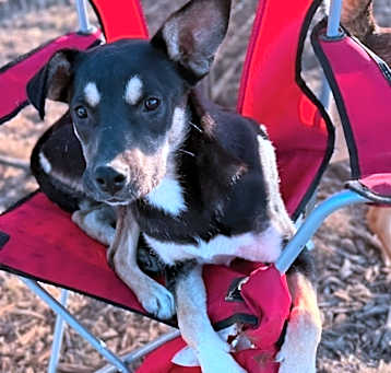 Photo of Lila