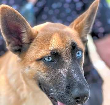 Photo of Waylon