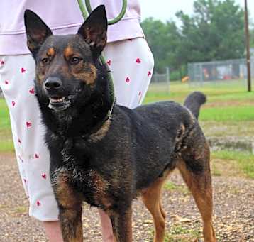 Photo of Brock