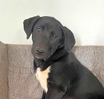 Photo of Hera
