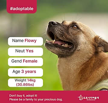 Photo of Flowy (D)