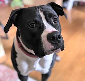 Photo of Bruce