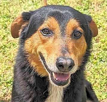 Photo of Romeo