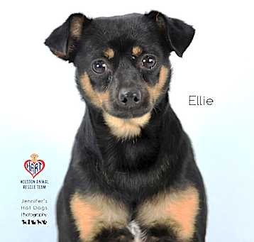 Photo of Ellie