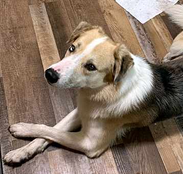 Photo of Remi