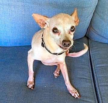 Photo of Cupid