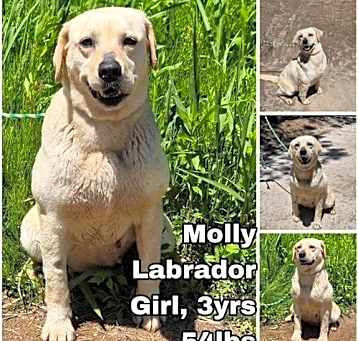 Photo of Molly from Korea