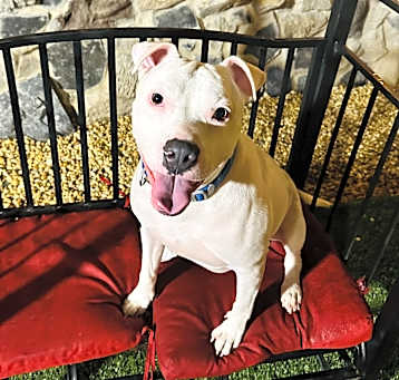 Photo of Casper