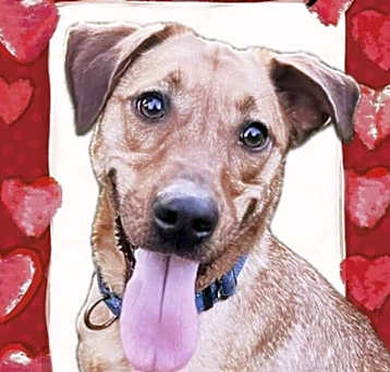 Photo of Skye