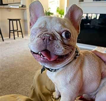 Photo of Theo