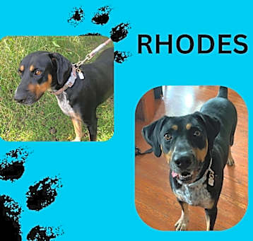 Photo of Rhodes