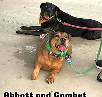 Photo of Abbott & Gambet - LAFAYETTE,IN