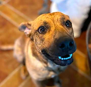 Photo of Tigger