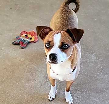 Photo of Ginny