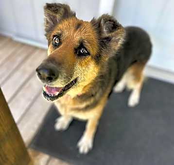 Photo of Kiara