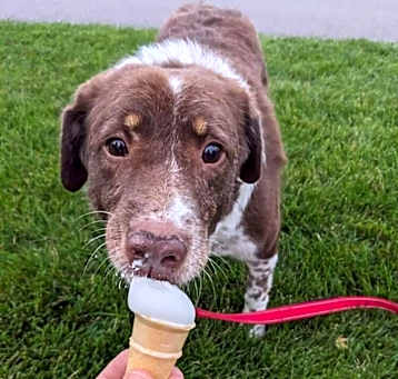 Photo of Gretzky