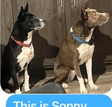 Photo of Sonny and Cher
