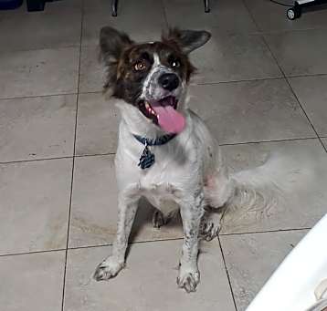 Photo of Elsa