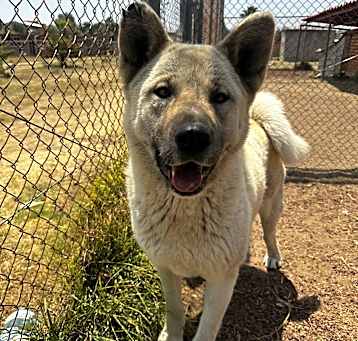Photo of Kira