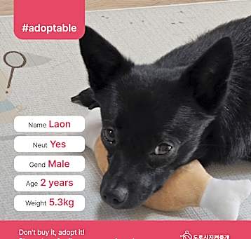 Photo of Laon (D)