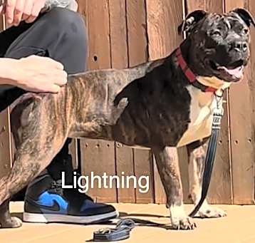 Photo of Lightning