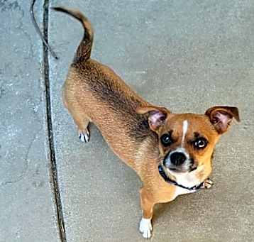 Photo of Roxi
