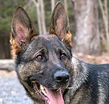 Photo of Tank