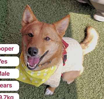 Photo of Cooper(D)