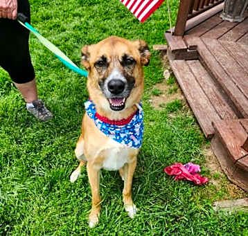 Photo of Kona