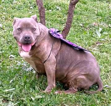 Photo of Cora