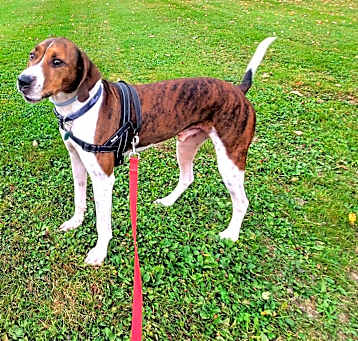 Photo of Jakey
