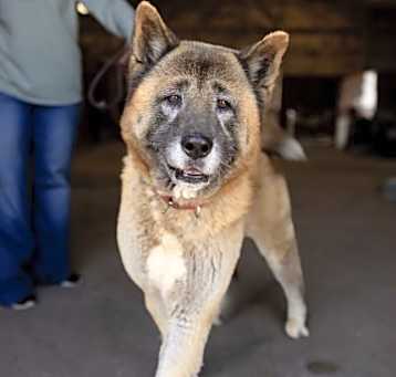 Photo of Boris