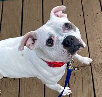 Photo of Ghost