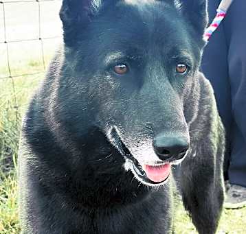Photo of Bubba