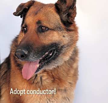 Photo of Conductor