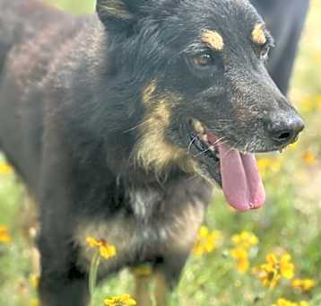 Photo of Max