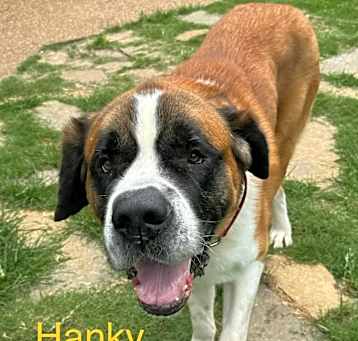 Photo of Hanky Panky