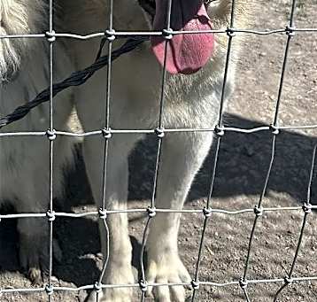 Photo of Kuiu/Mia