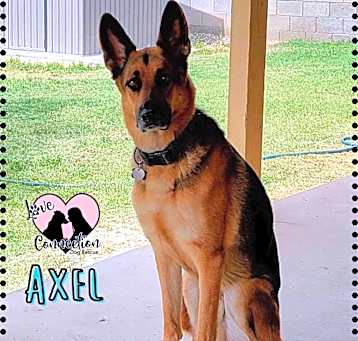 Photo of Axel