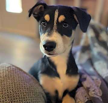 Photo of Gavin