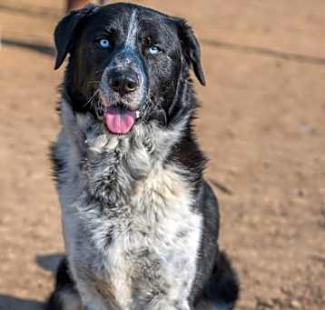 Photo of Clifford