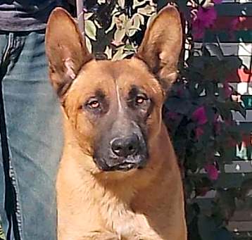 Photo of Duke G