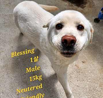 Photo of Blessing