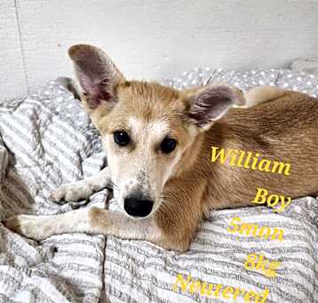 Photo of William