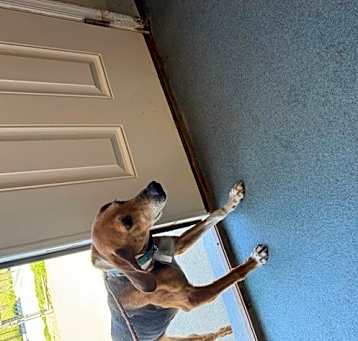 Photo of Laci