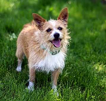 Photo of Rocket
