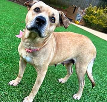 Photo of Haddie