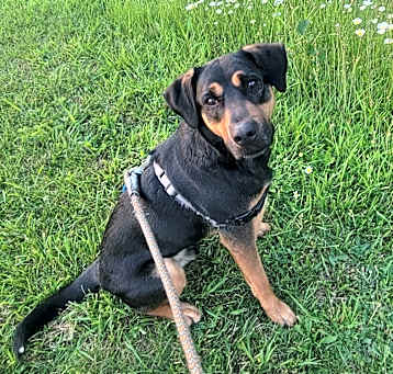 Photo of Ash