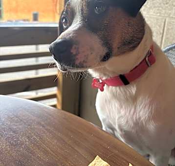 Photo of Cami