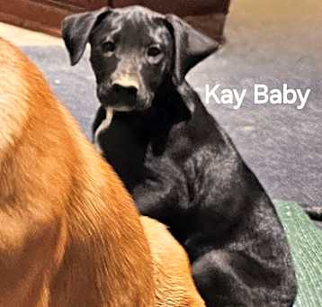 Photo of Kay Baby